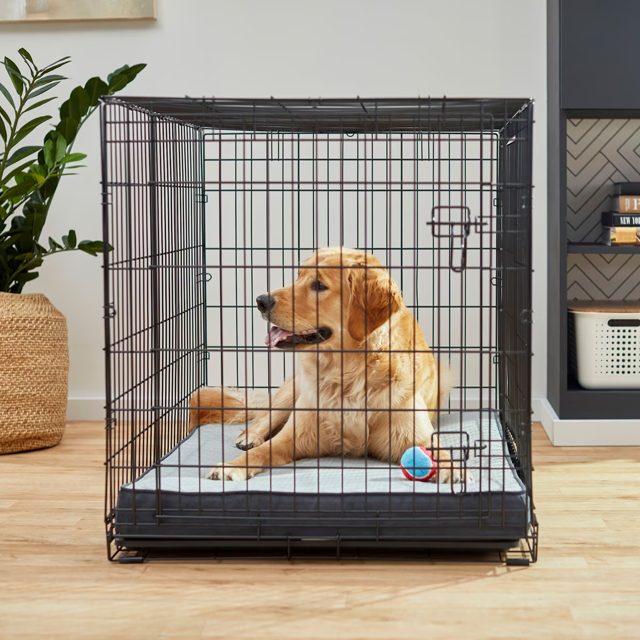 Chewy Frisco Steel Dog Crate 42"