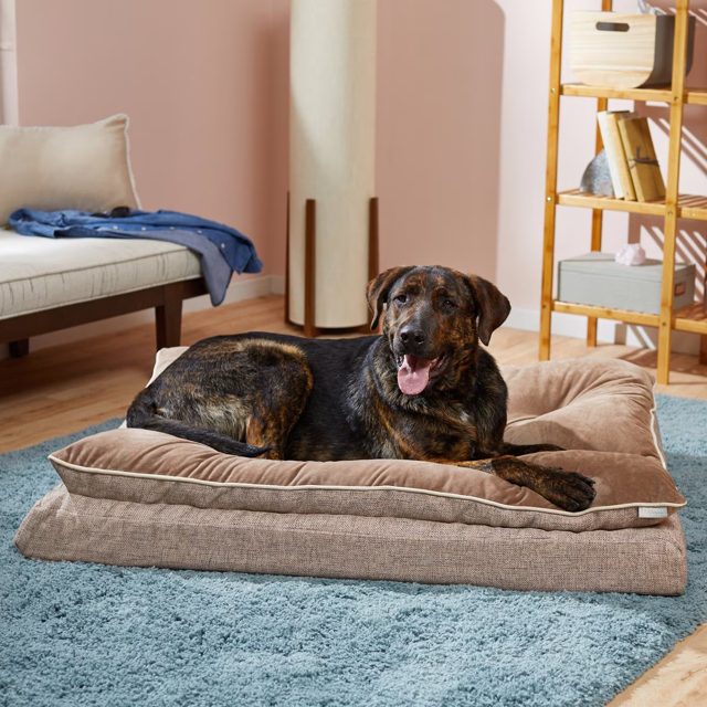Frisco Orthopedic Dog Bed (Large)