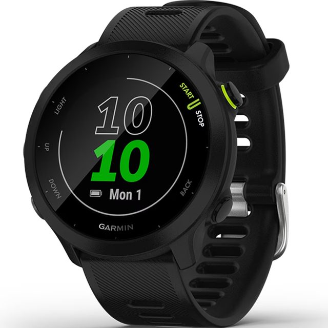 Garmin Forerunner 55 GPS Watch