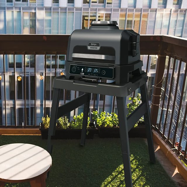 Ninja Woodfire Electric Outdoor Grill & Smoker