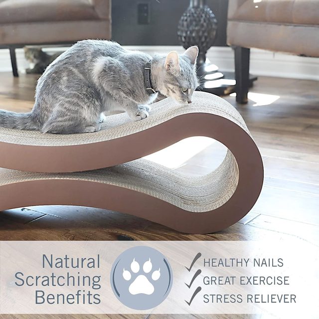 PetFusion Cat Scratcher Lounge