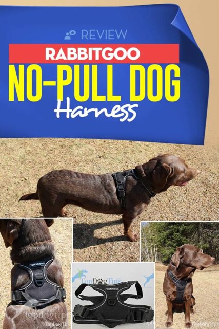Rabbitgoo No-Pull Dog Harness